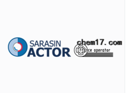 SARASIN ACTOR執(zhí)行器